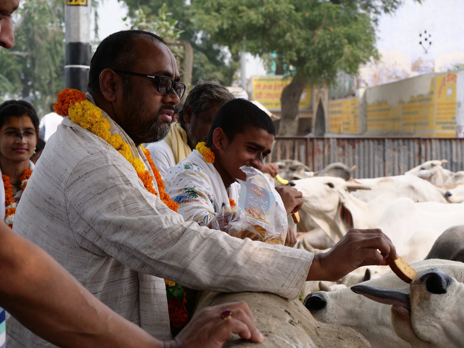  235 Gopashtami Radha kunda Govardhan 19.11.04